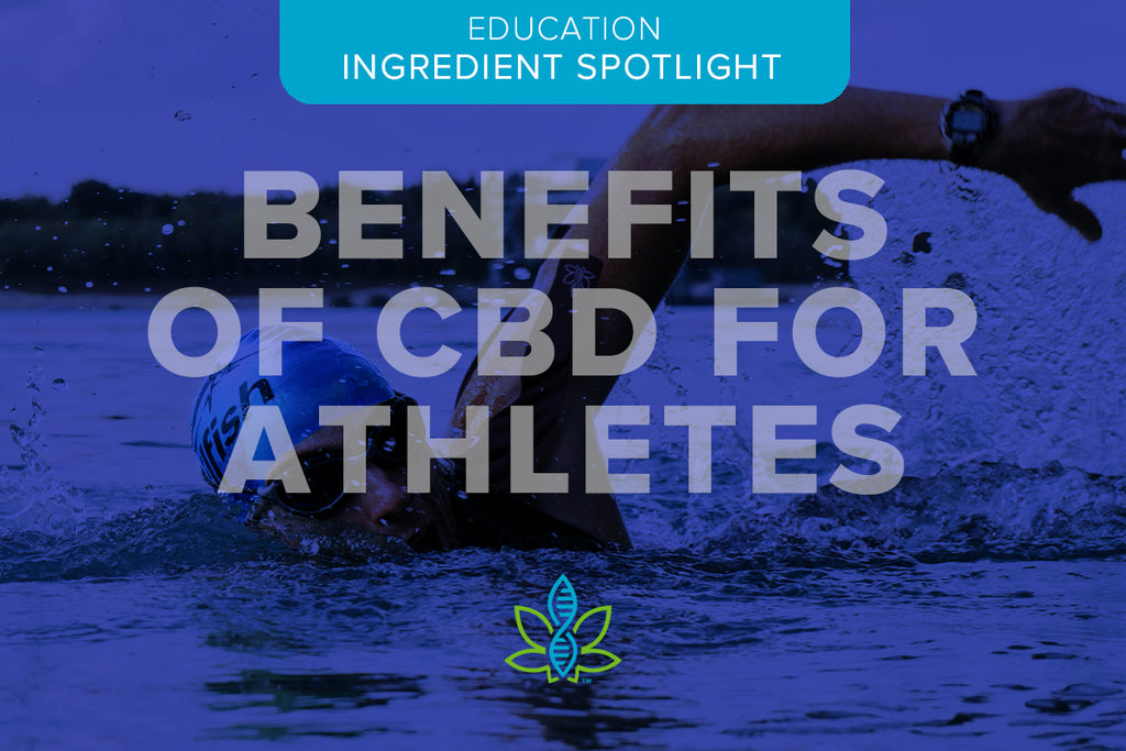 CBD for Relief: What Every Athlete Should Know