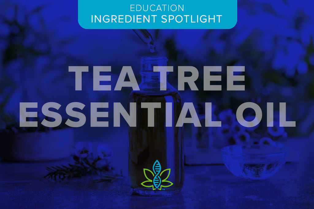 Healthy Skin – Tea Tree Oil and Why We Included It in Our Formula